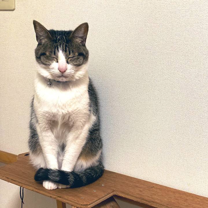 2b9b0ba0 5f1b 4b9c ab51 06a4cf98ec6f 1552619754603