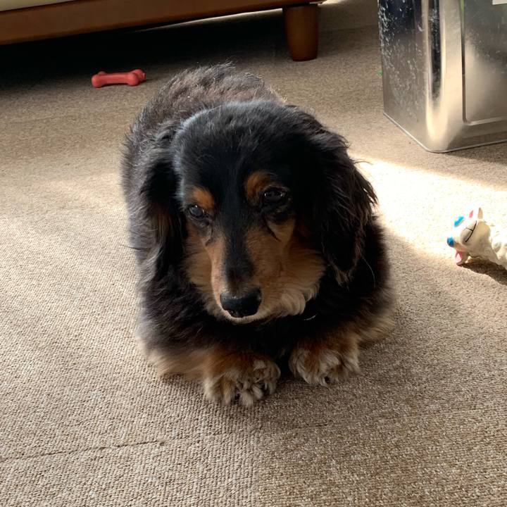 2b9b2b11 02d0 4183 80f6 3d6b5796a7c0 1559773468623