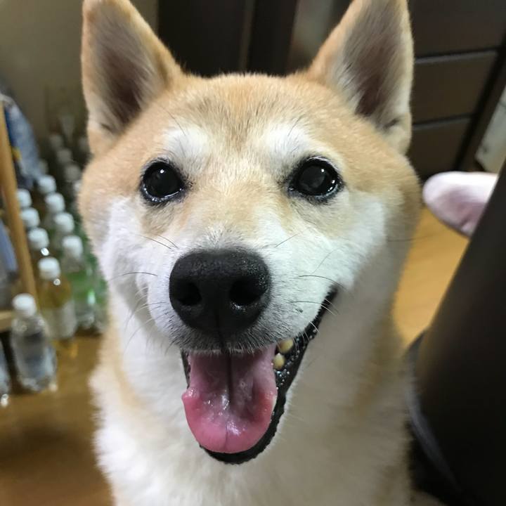 2b9b67d9 fe14 4671 b0f7 ae768672e644 1534834897423