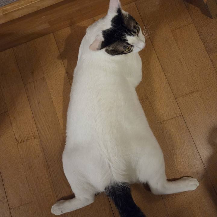 2b9b90b6 5a86 4433 84ac c1caec965131 1754088302601