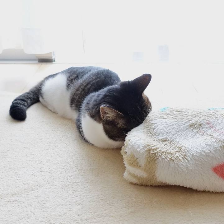 2b9b9786 0557 4fd2 b15f d7a105eca412 1759577468713