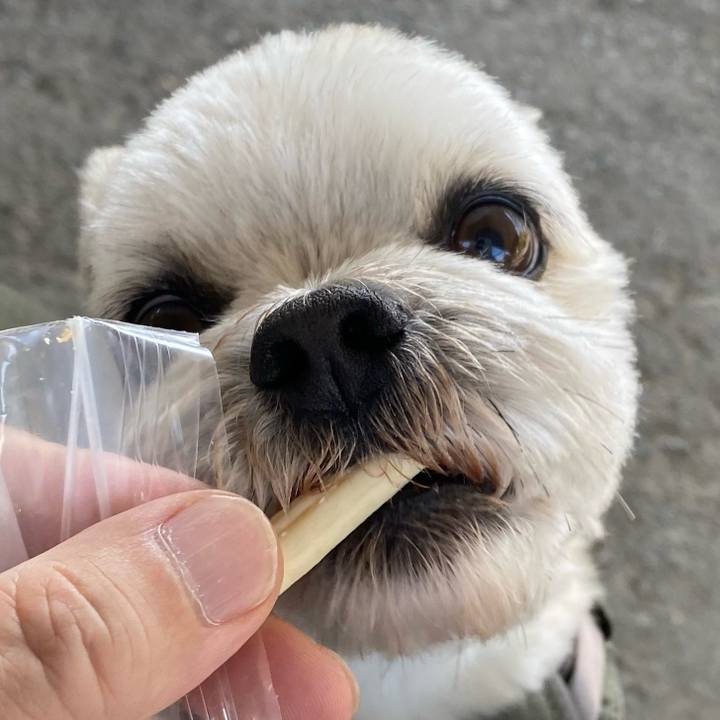 2b9bae6d b732 4f37 8f4e 241f1fff94af 1654155555455