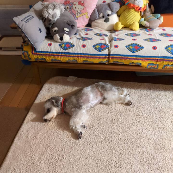 2b9bb9f3 a38a 40f8 ad2f 6f568a31a479 1760707328705