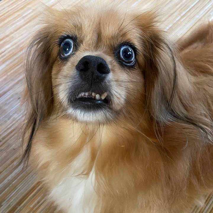 2b9be063 19cc 4162 a7a5 915ce6fda633 1628469456907