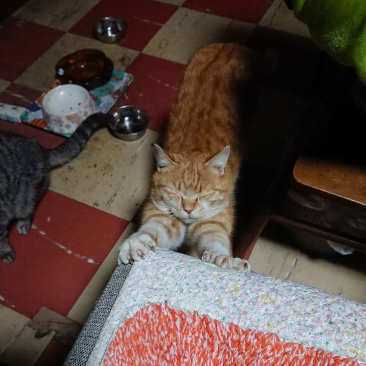 2b9c09cf bf15 485d 8cf6 cd5e0b40e61b 1583870108627