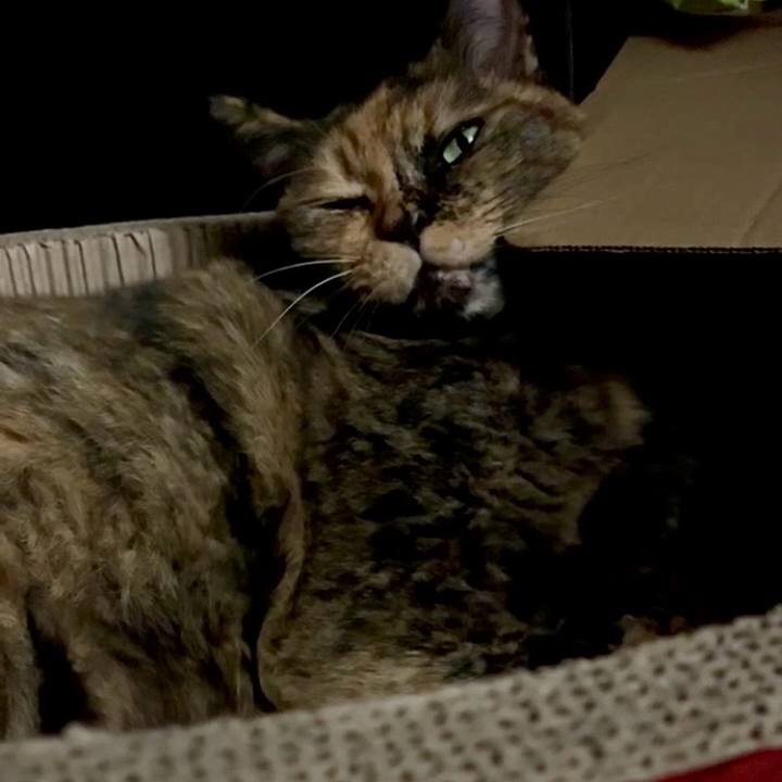 2b9c4dcd fb20 4af5 b8ce dedf2882fc65 1760523709785