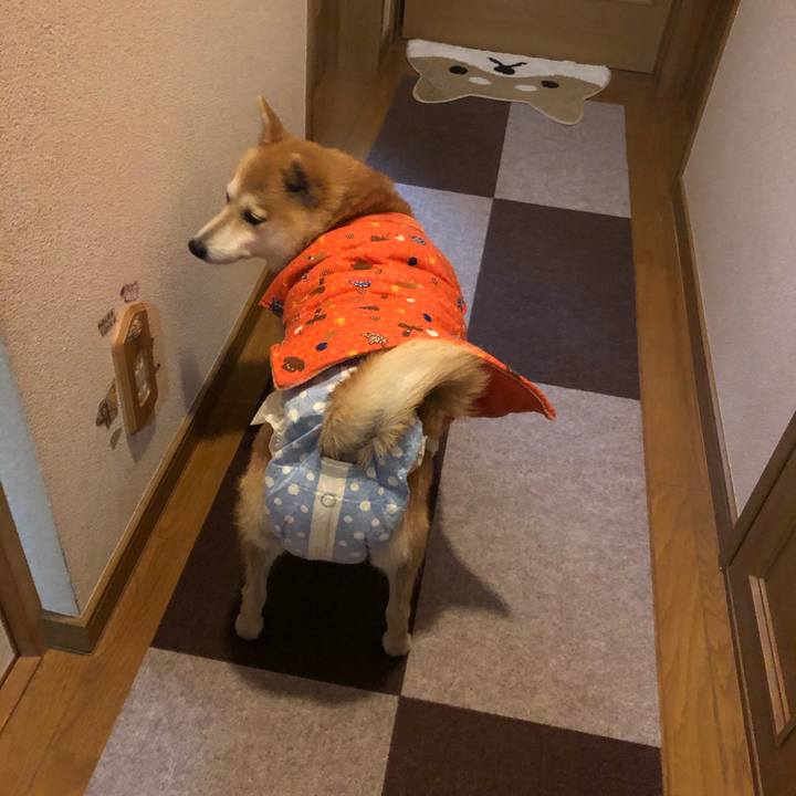 2b9c5e02 fb40 4981 8ead 10a3827a4a31 1578142755838