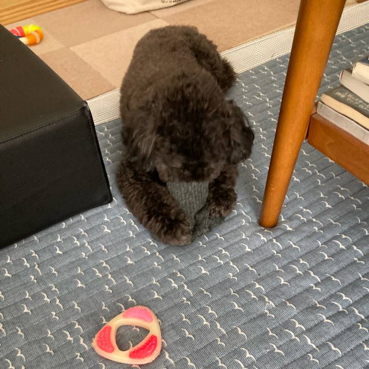 2b9c6ccd 4ec3 4994 a47f aea58f63332d 1661138503126