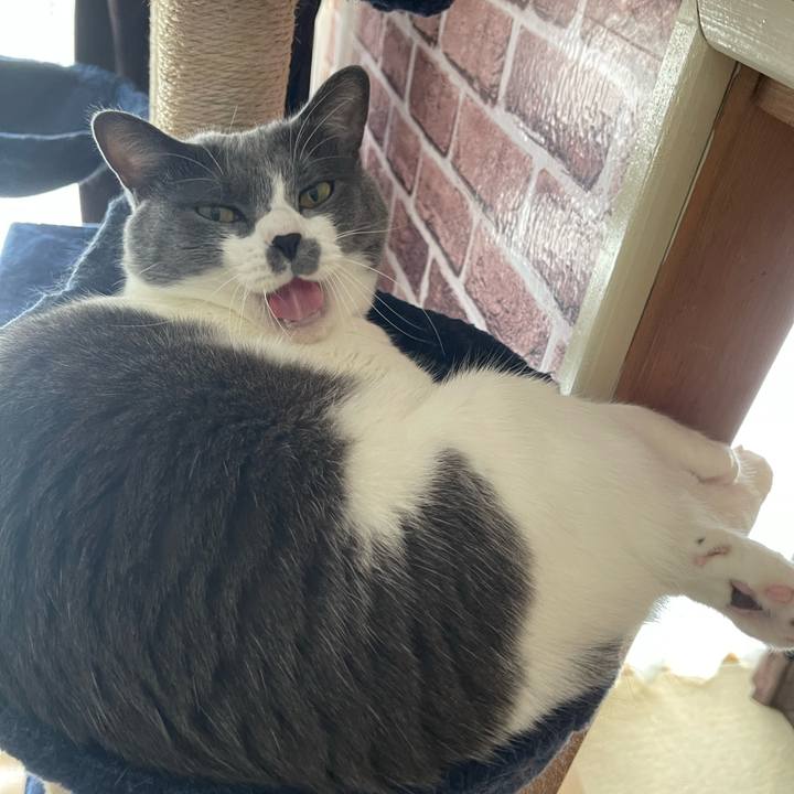 2b9c6ed6 9085 42d5 8dc7 3c30e85df16a 1657703488035