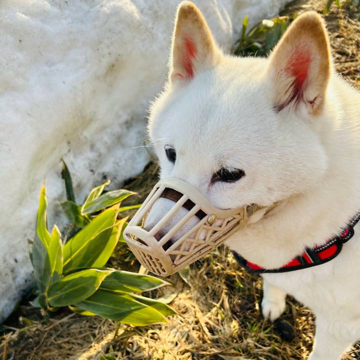 2b9cbfca 0cbc 4663 abe6 cded9220e2ec 1712183154439