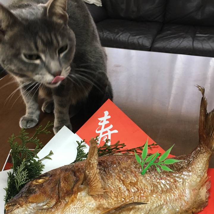 2b9cebc5 437d 424d 8b05 6e04b284b67e 1514765223178