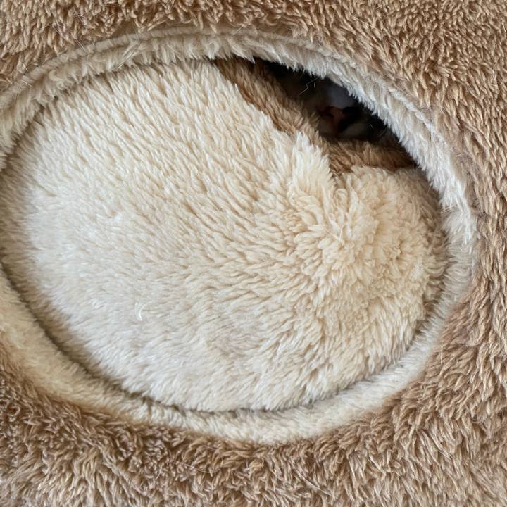 2b9d50aa 9f5f 468e abcc b14072de7573 1733544629753