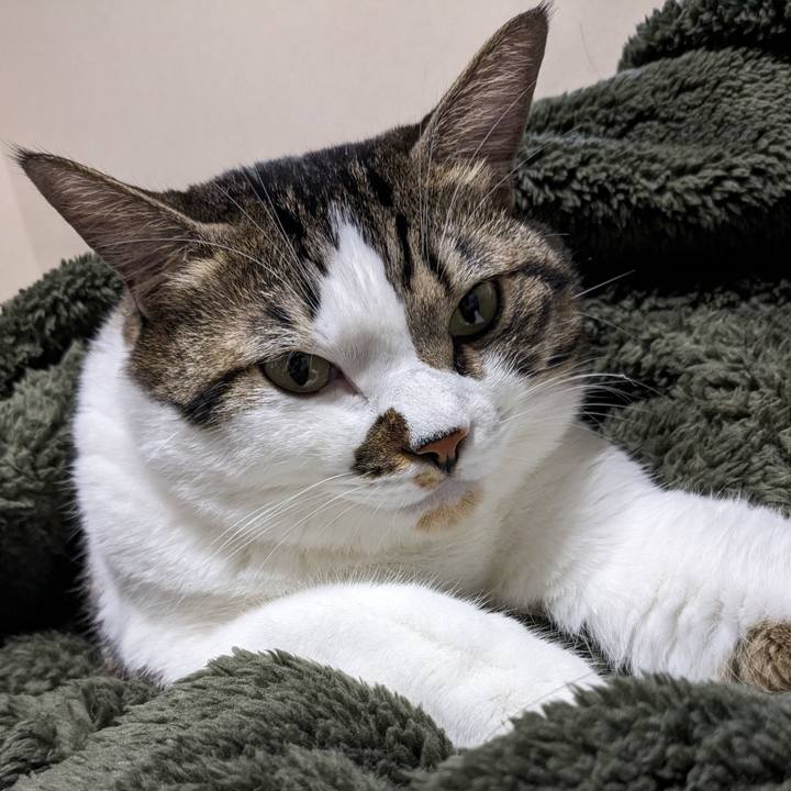 2b9d635e 4408 49ae a263 bad83f2ff4fa 1697295130834