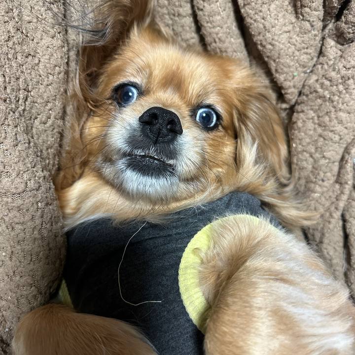 2b9dbc57 ccbe 4de5 bd70 0adaa6827423 1677622568414