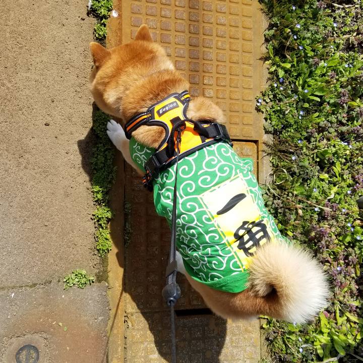 2b9dbd7d 90af 4355 a6d3 3c72e03fcf62 1585646174574