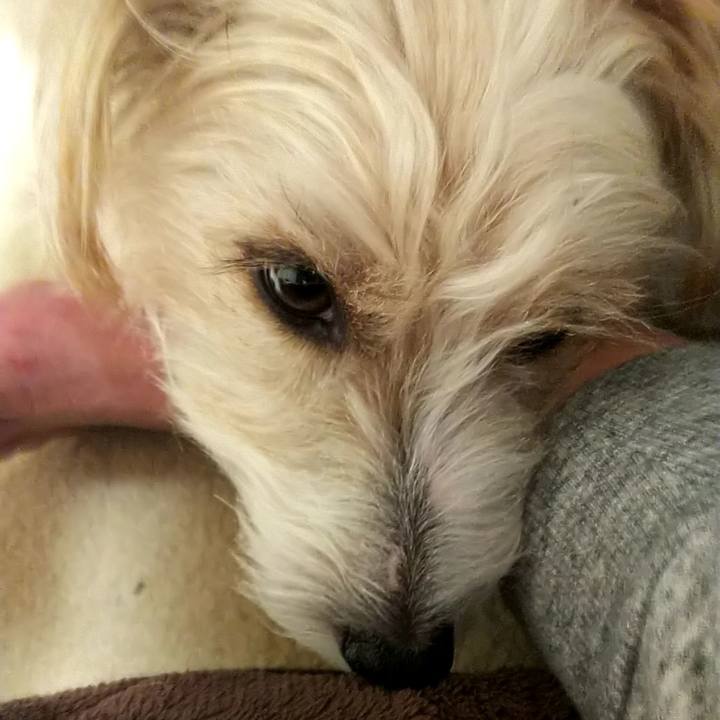 2b9dc191 c033 4ff2 a885 bdbe1469efa9 1550064112674