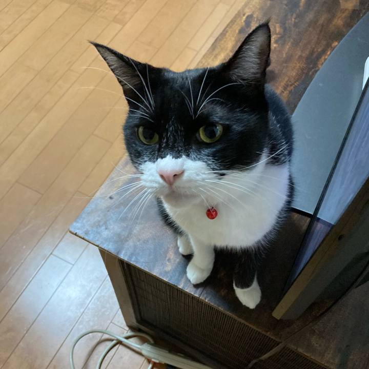 2b9ddb2d e894 4b34 923b addcdda4297a 1663841558162