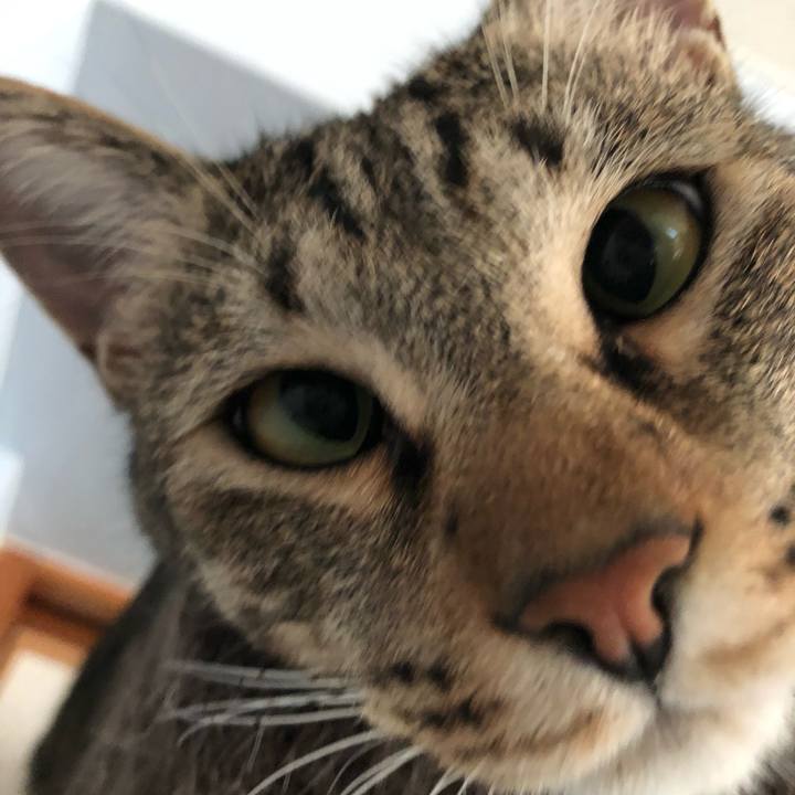 2b9df83e fb64 4aae 855f e8daa68bb835 1559955763428