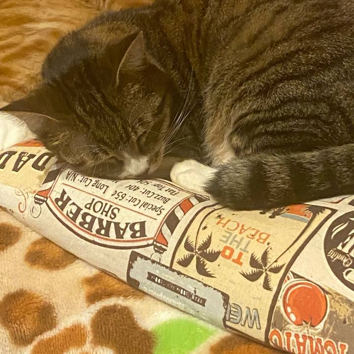 2b9dfe4d f08d 45f4 ac72 4d8e84dc2ffb 1620059757926