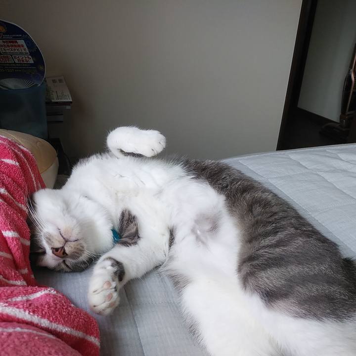 2b9e09a8 6c1c 4760 a17d 8b9bb96980dc 1589762989701