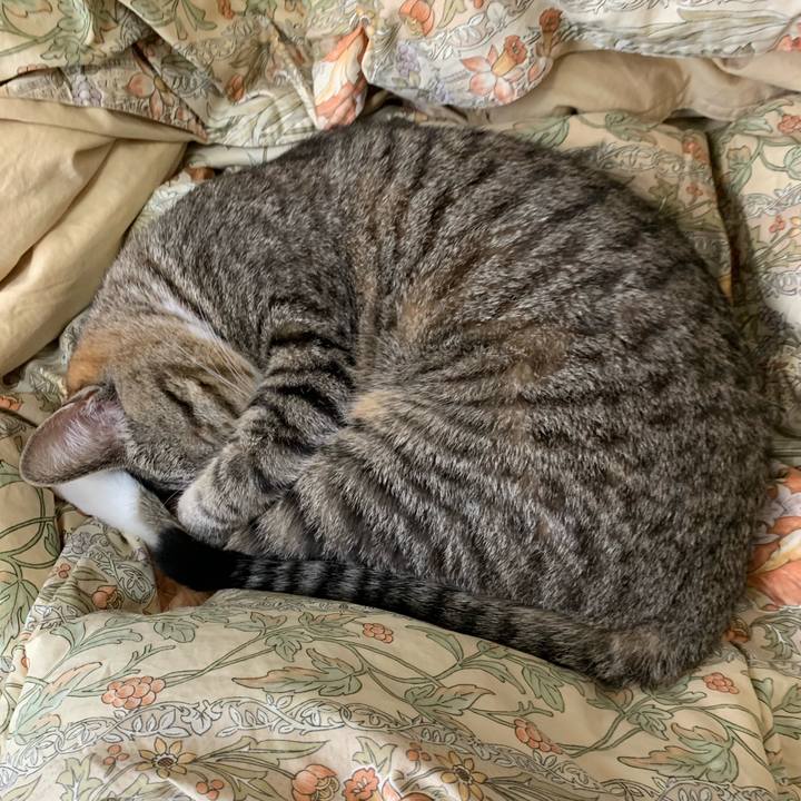 2b9e0ae1 f516 433e a47f e2b7d18beff7 1551930061732