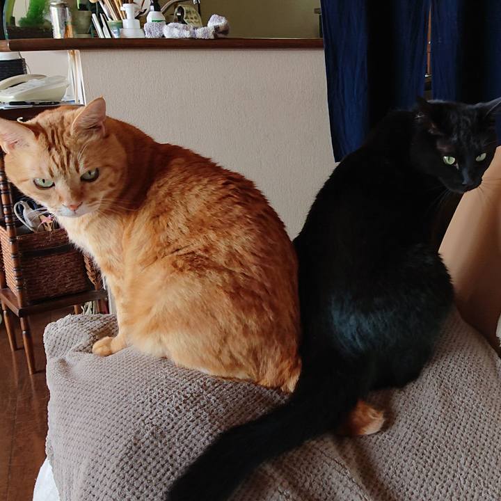 2b9e1787 7632 4412 96b5 234e0f5690c2 1541926097999