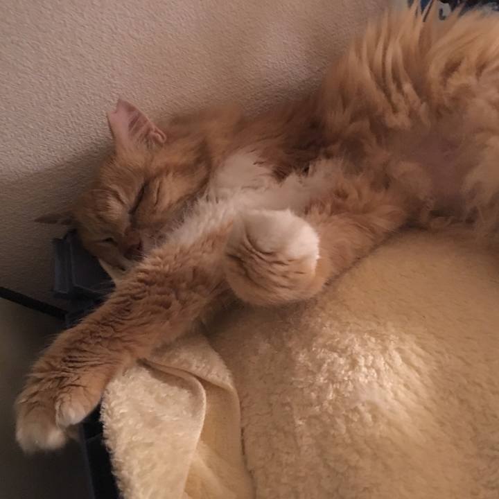 2b9e1838 7715 4b49 bda5 eb047f1bd763 1525256820150