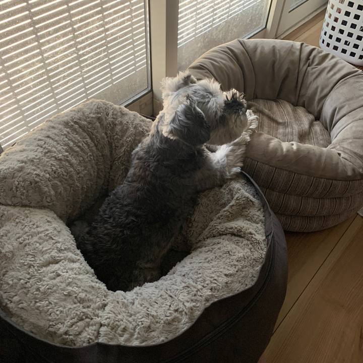 2b9e27e0 edd8 424a 9cb0 d9cec2c2a423 1691733423076