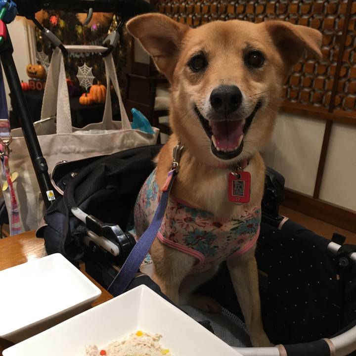 2b9e3177 e92e 417c 803f d8a4db567d9f 1538907859285