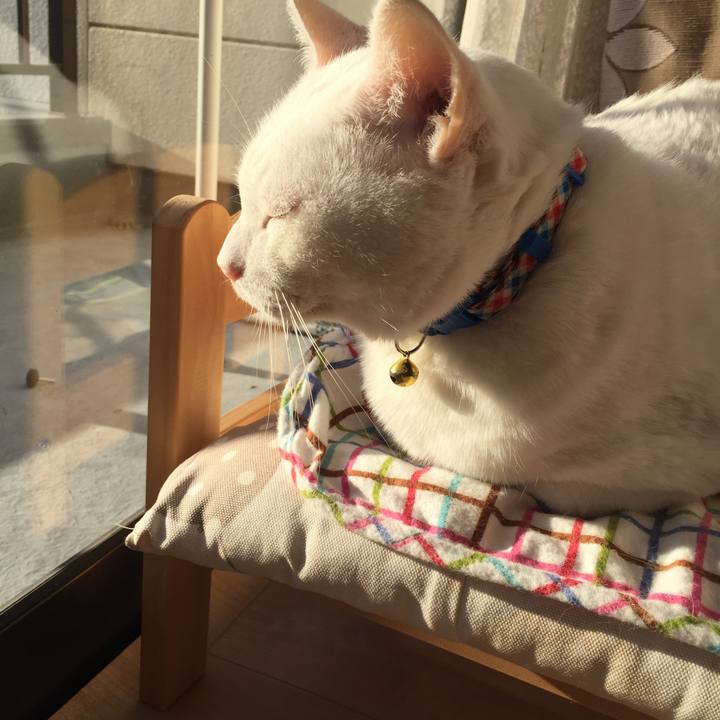 2b9e54d6 815c 4ffb 81f4 b6d439ae3e50 1574290253734