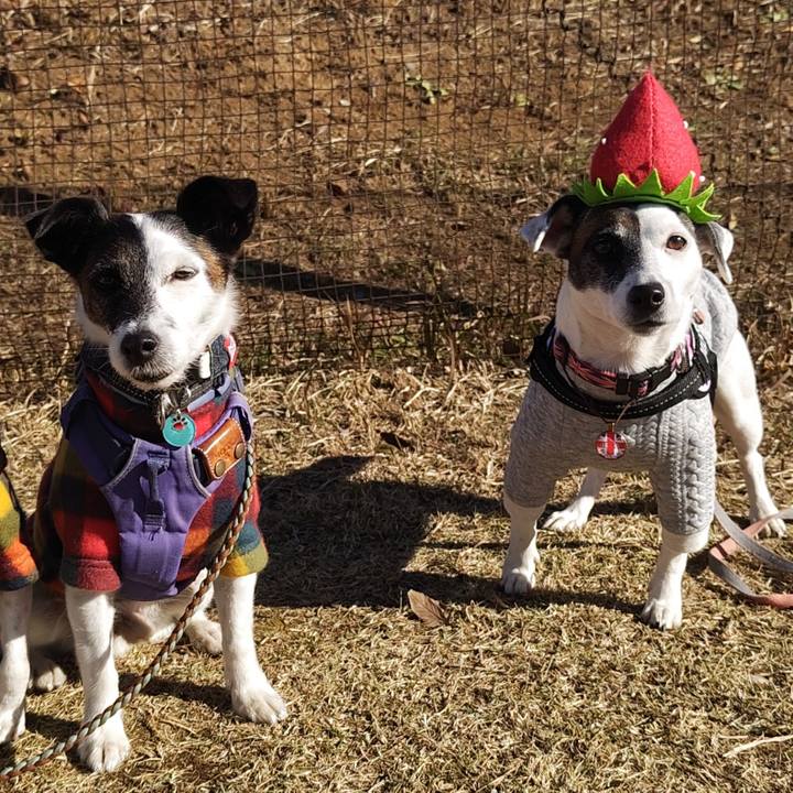 2b9e7979 d20c 4148 8695 b0933f39e9b5 1733653538772