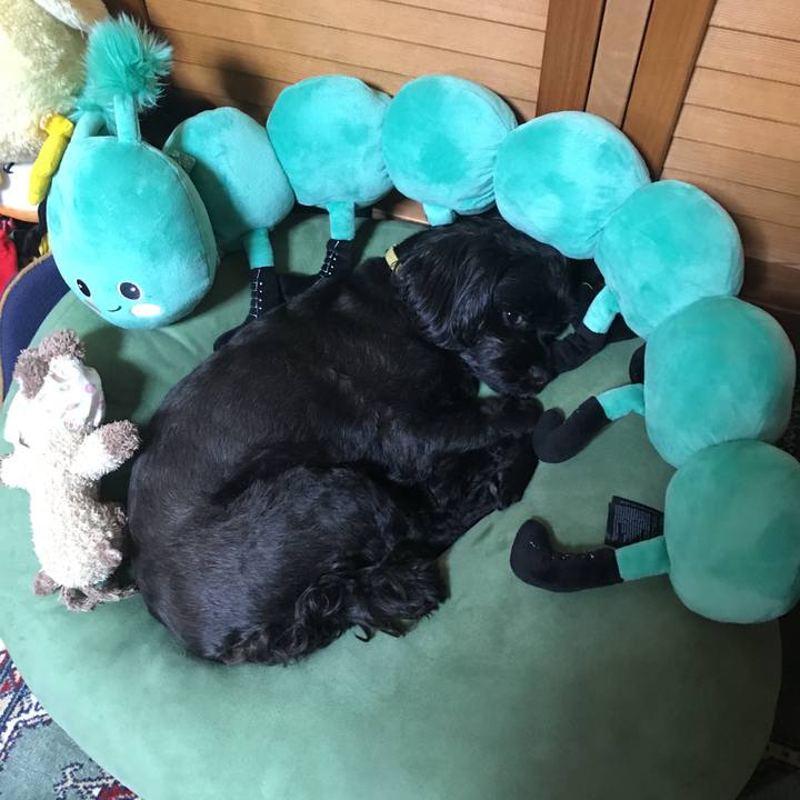 2b9e8df3 b4ac 431f a5aa 52fa13e82b92 1565704193181