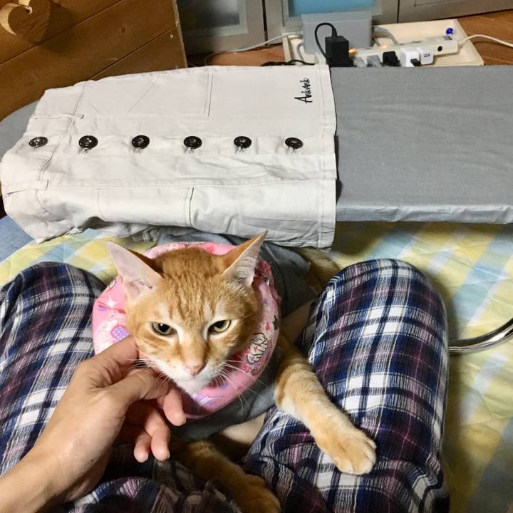 2b9e8e5d 5511 4019 b209 fd5c9c6bb11b 1528812484916