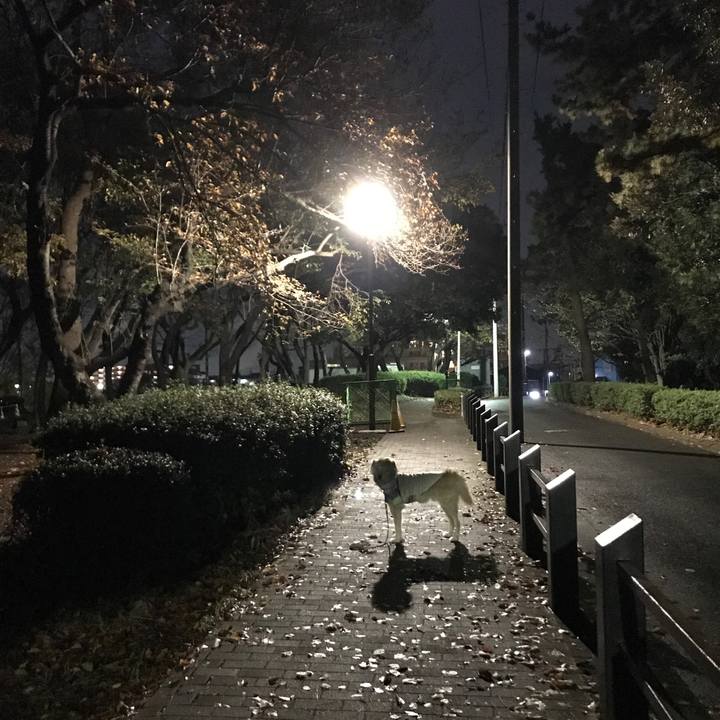 2b9ed2b3 2034 4f0b b502 d2538d7d2f24 1575718564386