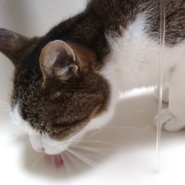 2b9ed72a e398 48e7 acef 28a4bd64e9b8 1557574313580