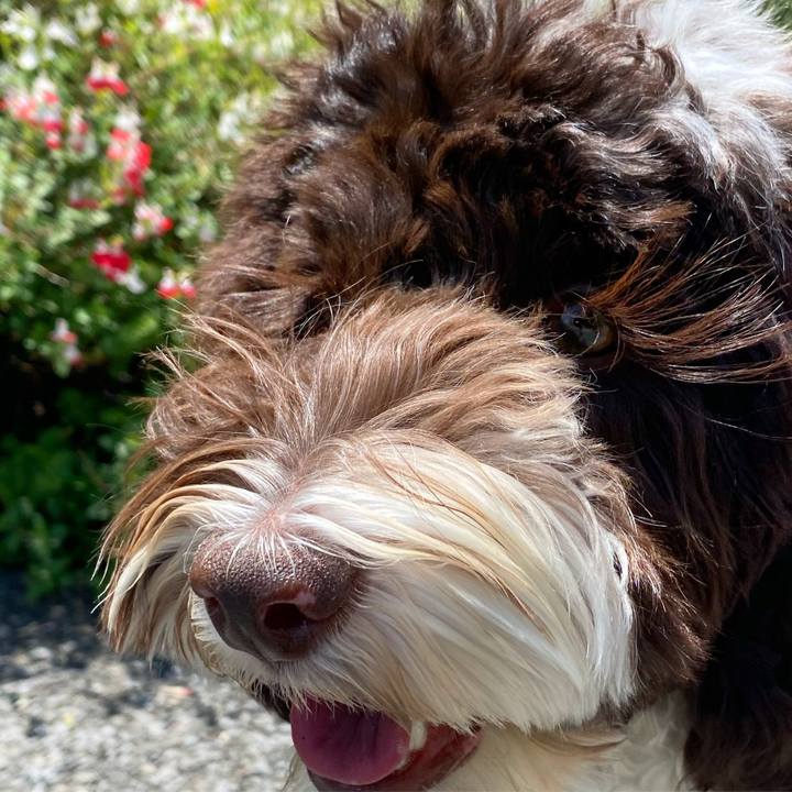 2b9ee234 94b2 4639 97f4 da3231070b36 1619567056824