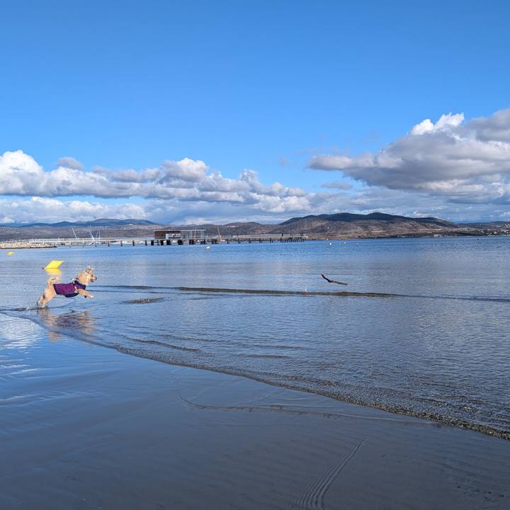 2b9f00ee 5986 4df2 bafa c20898c095b7 1769438946646