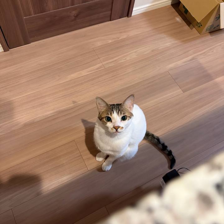 2b9f7096 2ea6 40f3 aac7 08766cffdd50 1768255510435