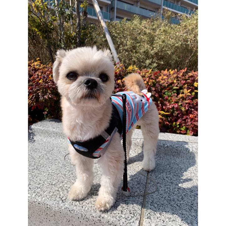 2b9f7d27 acaa 4559 8a50 38b75e99dbc5 1551787176059