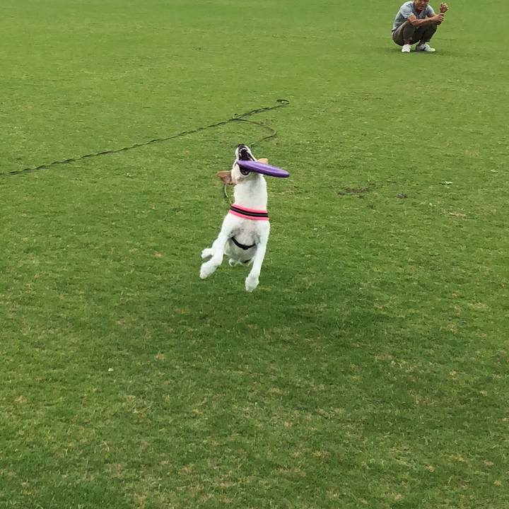 2b9f9378 c937 4c74 9984 d3520514a9f3 1530957510769