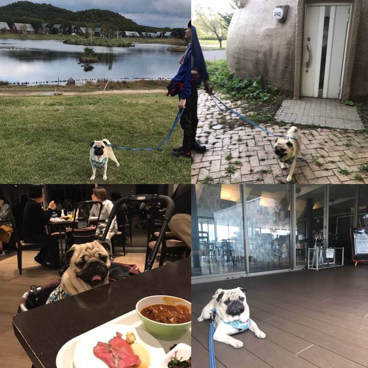 2b9faef4 234f 4d63 adbe c402070231df 1571474188217