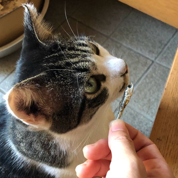 2b9fe373 094e 426c b1bf 12445a385dcb 1567751299486