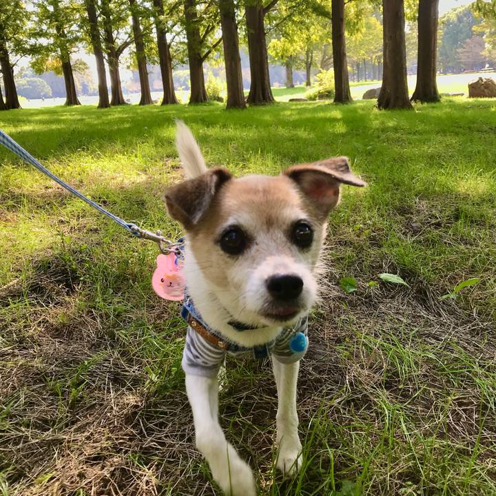 2ba00434 4007 4436 8217 1dff1181f98f 1666498817543