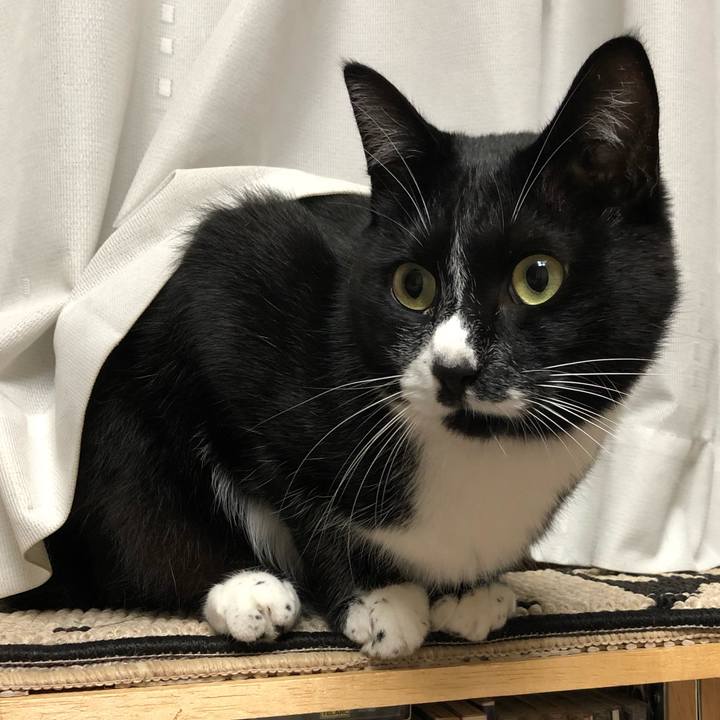 2ba01d95 6d2b 4f97 b49a 84272fb3162d 1572149424336