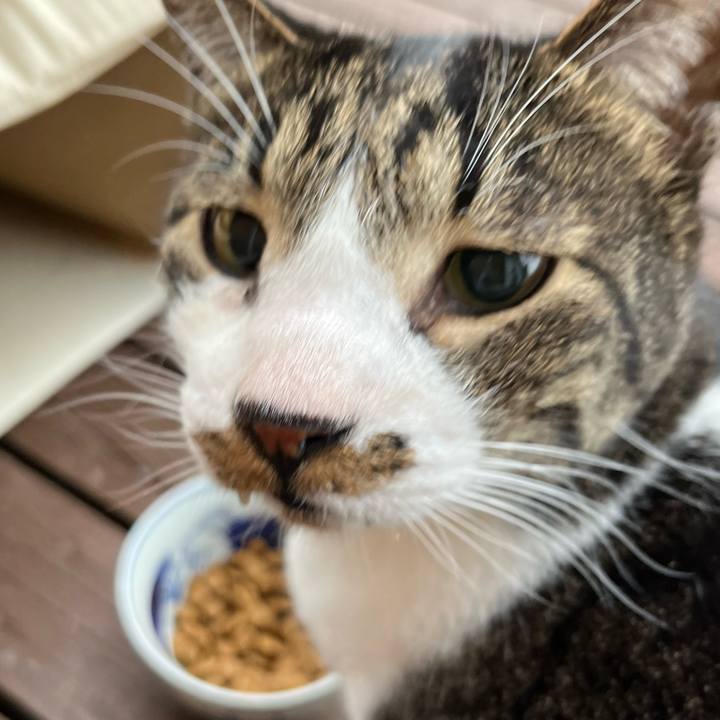 2ba0287e 826f 4011 a202 dd399dd21c0e 1679520497345