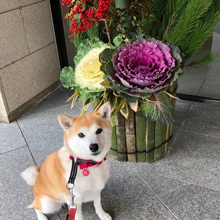 2ba04b84 edcd 4dfa a5fa ee74e757e69b 1577501810017