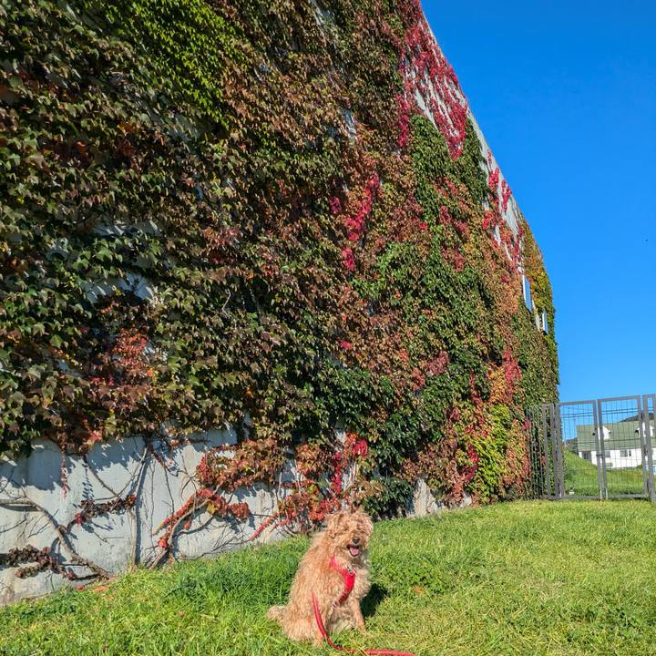 2ba07592 5651 4128 a7e2 465ddb6b27ed 1728169495582