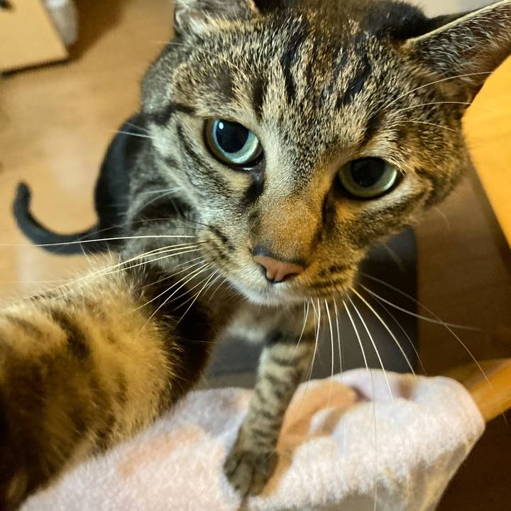 2ba0759f 4157 4226 9431 23e2572a2144 1616942972053