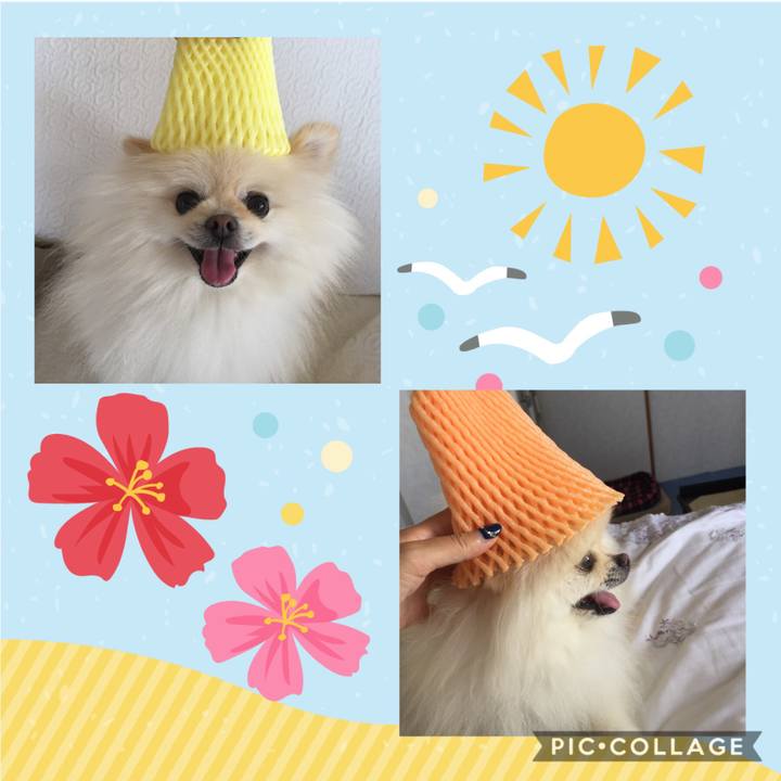 2ba08f8f e154 4cc9 a039 a91dbc0e4969 1598309958711