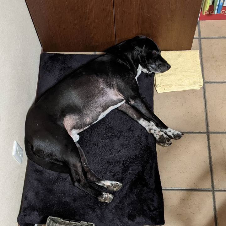 2ba09cb7 7a66 40c0 8649 9f0268a19fc6 1645370337242